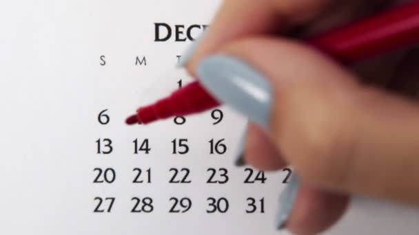 Kobiecy dzień kółka w dniu kalendarzowym z czerwonym markerem. Podstawy biznesu Kalendarz ścienny Planer i Organizator. 13 grudnia. — Wideo stockowe