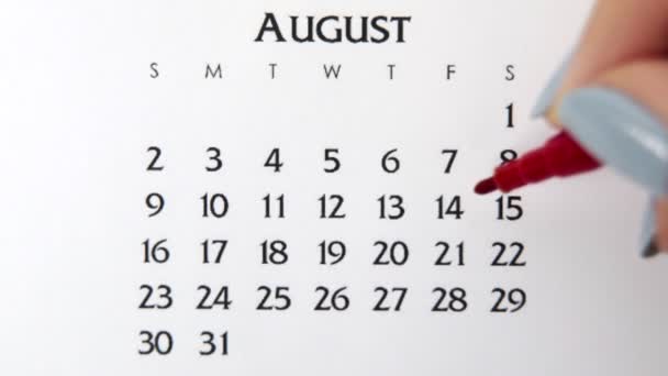Día de círculo de la mano femenina en la fecha del calendario con un marcador rojo. Conceptos básicos de negocio Wall Calendar Planner and Organizer. 14 de agosto — Vídeos de Stock
