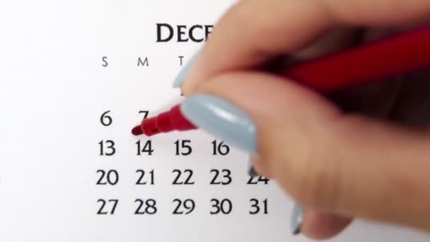 Femme cercle de main jour dans la date du calendrier avec un marqueur rouge. Business Basics Planificateur et organisateur de calendrier mural. 14 décembre — Video