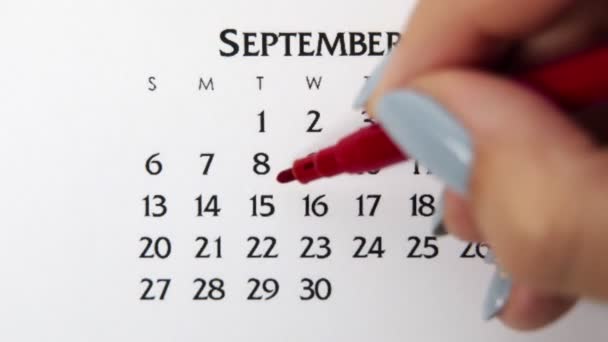 Kvinnlig hand cirkel dag i kalenderdatum med en röd markör. Business Basics Wall Calendar Planerare och arrangör. 15 september. — Stockvideo