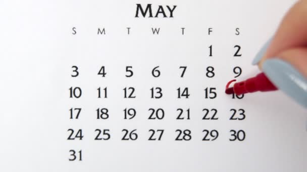 Weiblicher Handkreistag im Kalenderdatum mit roter Markierung. Business Basics Wall Calendar Planer und Organisator. 16. Mai — Stockvideo