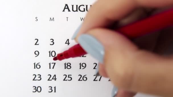 Giorno di cerchio di mano femminile in data di calendario con un marcatore rosso. Business Nozioni di base Wall Calendar Planner e organizzatore. 17 agosto — Video Stock