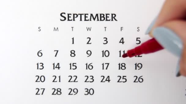 Kobiecy dzień kółka w dniu kalendarzowym z czerwonym markerem. Podstawy biznesu Kalendarz ścienny Planer i Organizator. 18 września. — Wideo stockowe