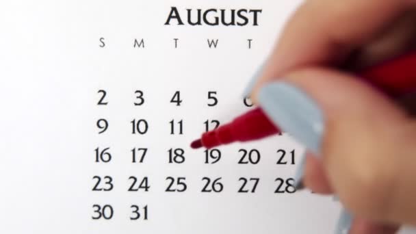 Día de círculo de la mano femenina en la fecha del calendario con un marcador rojo. Conceptos básicos de negocio Wall Calendar Planner and Organizer. 18 de agosto — Vídeos de Stock