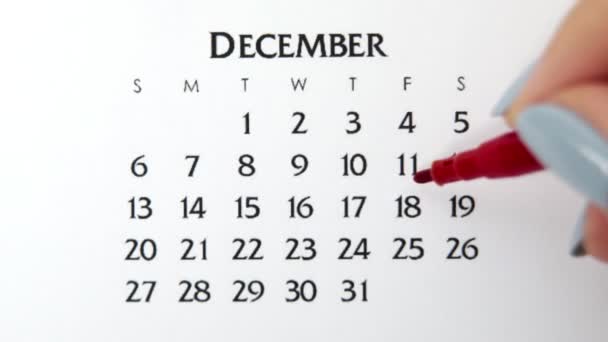 Dia círculo mão feminino em data de calendário com um marcador vermelho. Noções básicas de negócios Wall Calendar Planner and Organizer. 18 de Dezembro — Vídeo de Stock