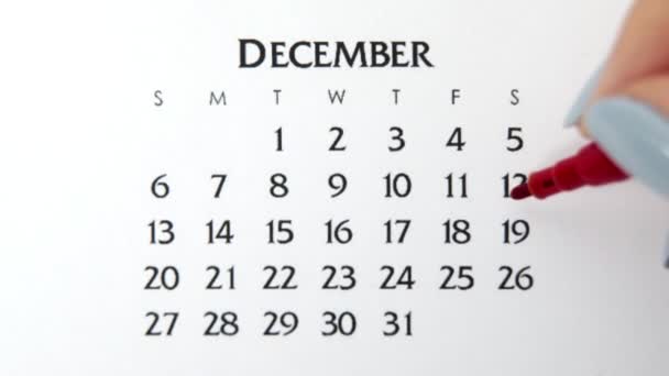 Ημέρα θηλυκού κύκλου στο ημερολόγιο με κόκκινο μαρκαδόρο. Business Basics Wall Ημερολόγιο και Organizer. 19 Δεκεμβρίου — Αρχείο Βίντεο