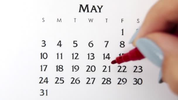 Dia círculo mão feminino em data de calendário com um marcador vermelho. Noções básicas de negócios Wall Calendar Planner and Organizer. 21 de Maio — Vídeo de Stock