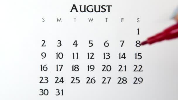 Weiblicher Handkreistag im Kalenderdatum mit roter Markierung. Business Basics Wall Calendar Planer und Organisator. 21. August — Stockvideo