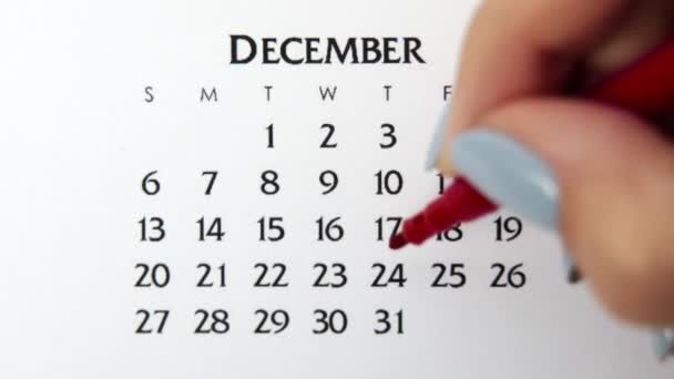 Female hand circle day in calendar date with a red marker. Business Basics Wall Calendar Planner and Organizer. December 24th — Stock Video
