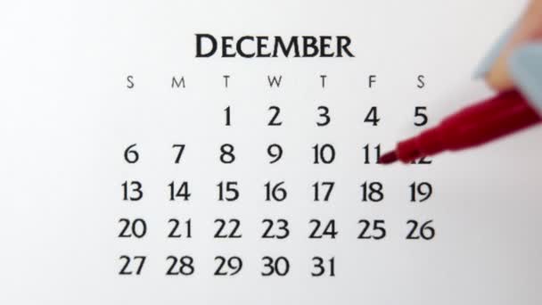Día de círculo de la mano femenina en la fecha del calendario con un marcador rojo. Conceptos básicos de negocio Wall Calendar Planner and Organizer. 25 de diciembre — Vídeos de Stock