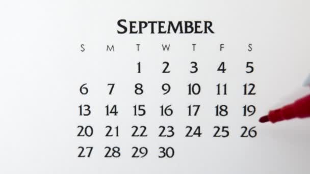 Femme cercle de main jour dans la date du calendrier avec un marqueur rouge. Business Basics Planificateur et organisateur de calendrier mural. 26 septembre — Video