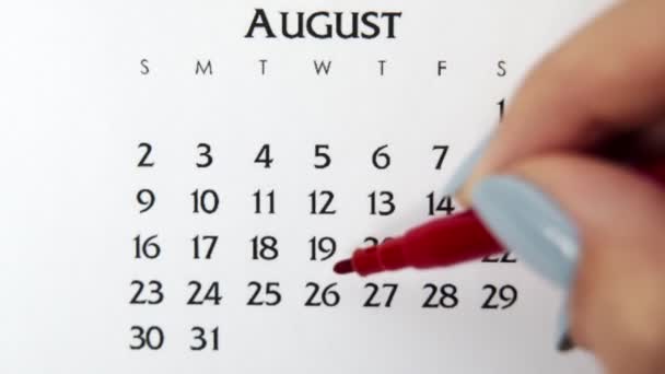 Giorno di cerchio di mano femminile in data di calendario con un marcatore rosso. Business Nozioni di base Wall Calendar Planner e organizzatore. 26 agosto — Video Stock