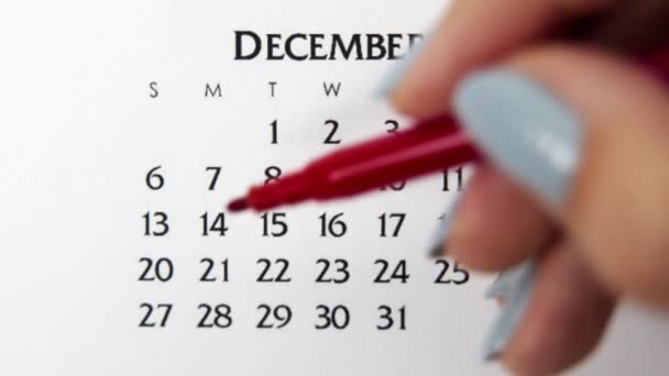 Dia círculo mão feminino em data de calendário com um marcador vermelho. Noções básicas de negócios Wall Calendar Planner and Organizer. 27 de Dezembro — Vídeo de Stock