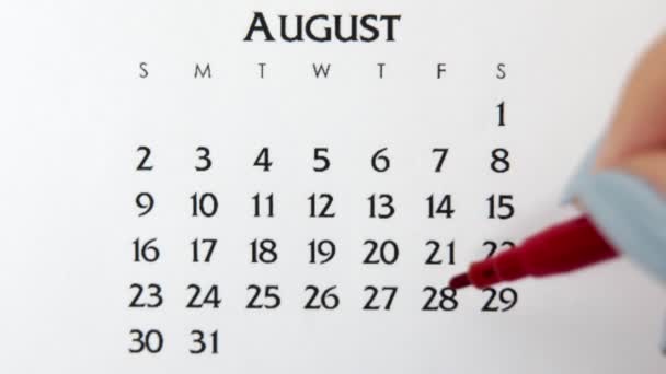 赤いマーカーでカレンダー日付の女性の手の円の日。ビジネスの基本壁カレンダープランナーと主催者。8月28日 — ストック動画