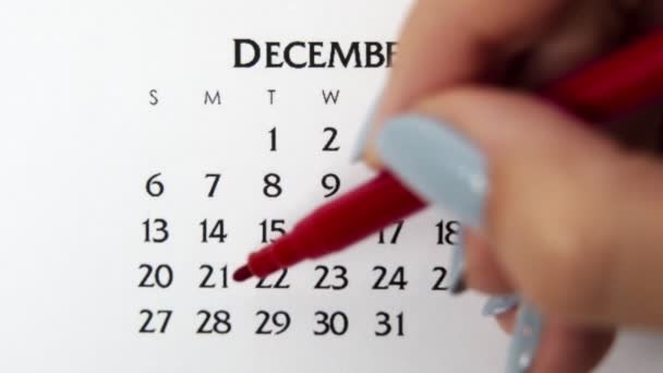 Samice kruh den v kalendářním datu s červenou značkou. Business Basics Wall Calendar Planner and Organizer. 28. prosince — Stock video