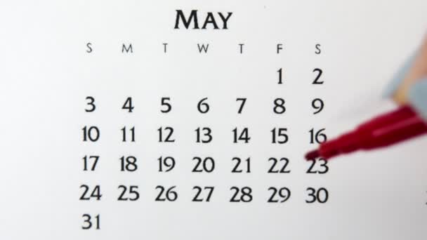 Takvimde kırmızı kalemli bir kadın el çemberi günü. İş Temel Duvar Takvimi Planlayıcı ve Düzenleyici. 29 Mayıs — Stok video
