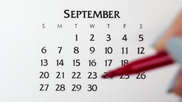 Vrouwelijke handcirkeldag in kalenderdatum met een rode stift. Business Basics Wall Calendar Planner en Organisator. 29 september — Stockvideo