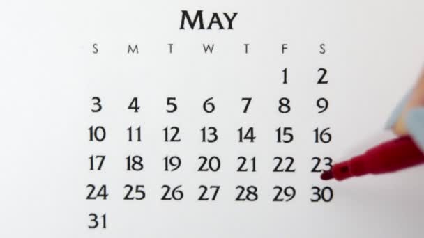 Kobiecy dzień kółka w dniu kalendarzowym z czerwonym markerem. Podstawy biznesu Kalendarz ścienny Planer i Organizator. 30 maja. — Wideo stockowe