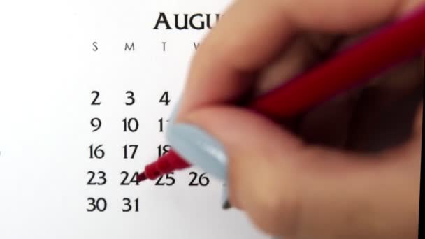 Wanita lingkaran tangan hari dalam tanggal kalender dengan penanda merah. Business Basics Wall Calendar Planner and Organizer (dalam bahasa Inggris). 31 Agustus — Stok Video