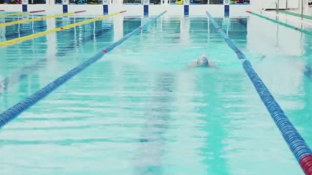 Professionel svømmer næppe arbejder ud i indendørs pool svømning på tværs af banen. – Stock-video