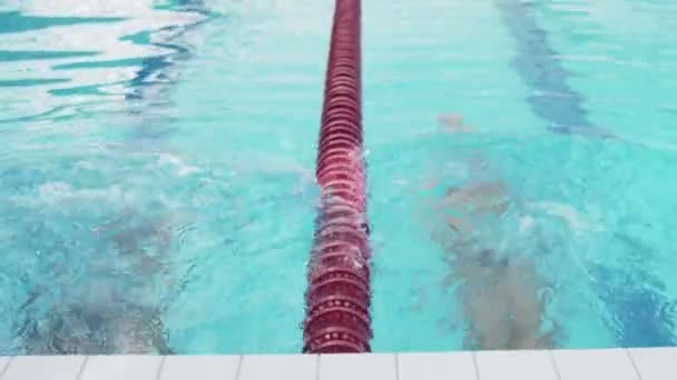 Nadadores profesionales mujer y hombre comienzan a nadar en la piscina — Vídeo de stock