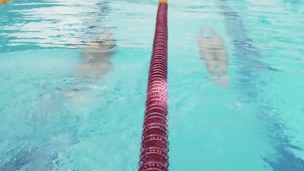 Nuotatori professionisti donna e uomo iniziano a nuotare in piscina — Video Stock