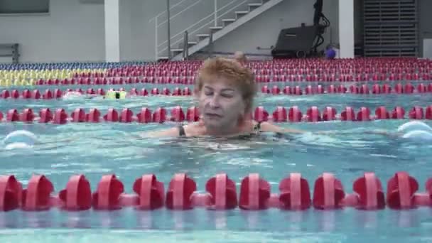 Mujer entrenando aqua gimnasia con mancuernas de poliestireno en piscina. — Vídeos de Stock