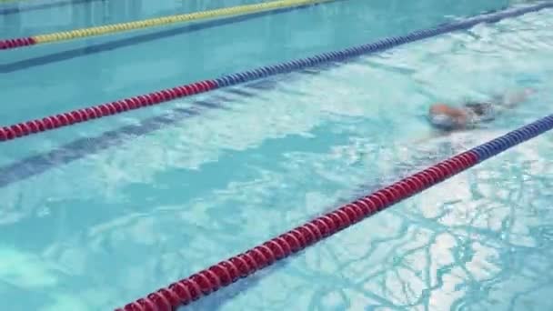 Guapo atleta nadador deportista entrenamiento en la piscina — Vídeos de Stock