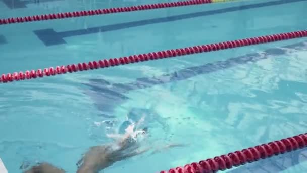 Beau athlète nageur sportif s'entraînant dans la piscine — Video