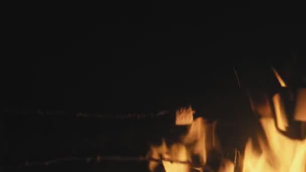 Zbliżenie kucharzy pianka na ognisku w nocy — Wideo stockowe