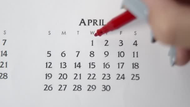 Día de círculo de la mano femenina en la fecha del calendario con un marcador rojo. Conceptos básicos de negocio Wall Calendar Planner and Organizer. 1 DE ABRIL — Vídeos de Stock