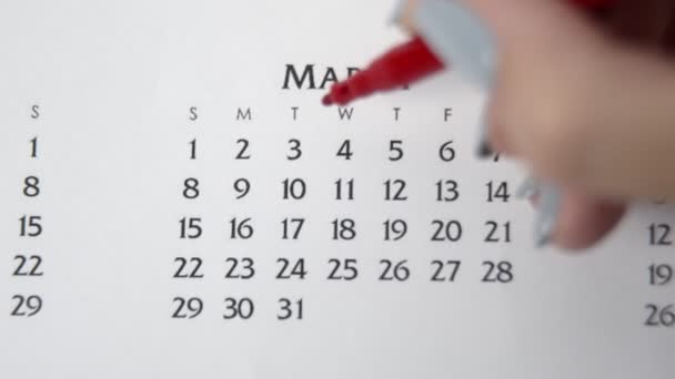 Vrouwelijke handcirkeldag in kalenderdatum met een rode stift. Business Basics Wall Calendar Planner en Organisator. 3e MAART — Stockvideo