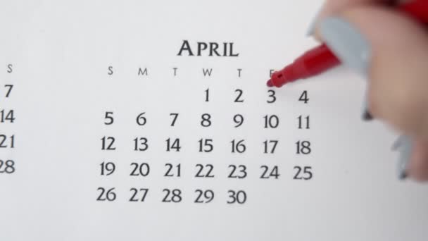Dia círculo mão feminino em data de calendário com um marcador vermelho. Noções básicas de negócios Wall Calendar Planner and Organizer. 3 de Abril — Vídeo de Stock