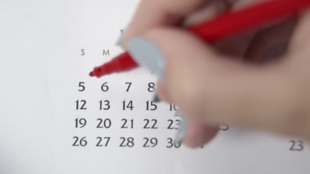 Giorno di cerchio di mano femminile in data di calendario con un marcatore rosso. Business Nozioni di base Wall Calendar Planner e organizzatore. 5 GENNAIO — Video Stock