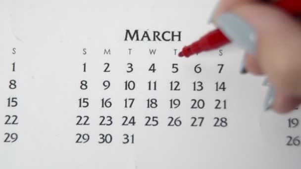 Kvinnlig hand cirkel dag i kalenderdatum med en röd markör. Business Basics Wall Calendar Planerare och arrangör. 5 mars — Stockvideo