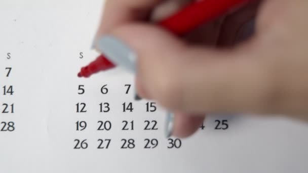 Női kéz kör nap naptár dátum egy piros marker. Üzleti alapok Falinaptár tervező és szervező. Április 5. — Stock videók