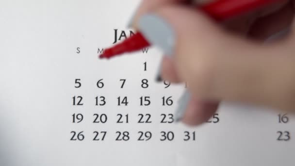 Giorno di cerchio di mano femminile in data di calendario con un marcatore rosso. Business Nozioni di base Wall Calendar Planner e organizzatore. 6 GENNAIO — Video Stock