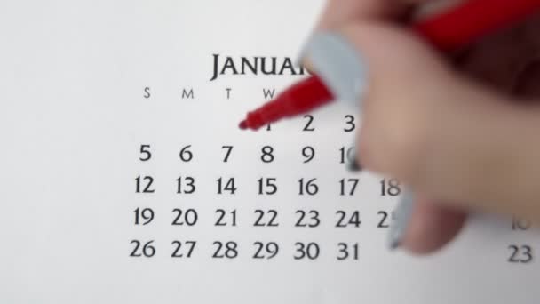 Vrouwelijke handcirkeldag in kalenderdatum met een rode stift. Business Basics Wall Calendar Planner en Organisator. JANUARI 7e — Stockvideo