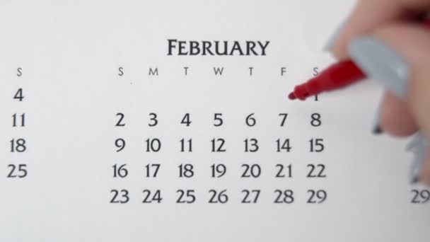 Kvinnlig hand cirkel dag i kalenderdatum med en röd markör. Business Basics Wall Calendar Planerare och arrangör. ŸRUARI 7:e — Stockvideo