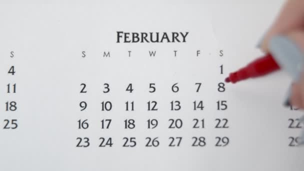 Giorno di cerchio di mano femminile in data di calendario con un marcatore rosso. Business Nozioni di base Wall Calendar Planner e organizzatore. 8 FEBBRAIO — Video Stock