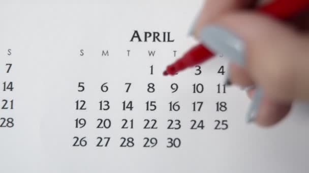 Día de círculo de la mano femenina en la fecha del calendario con un marcador rojo. Conceptos básicos de negocio Wall Calendar Planner and Organizer. 8 DE ABRIL — Vídeos de Stock