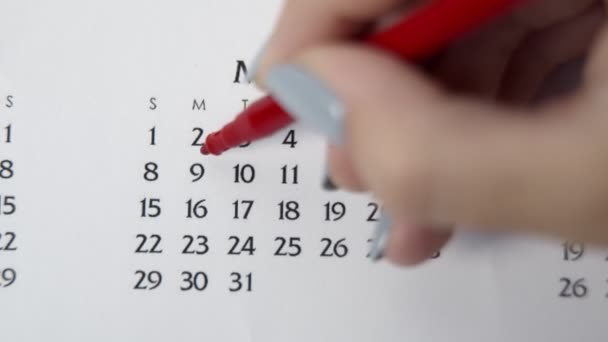 Wanita lingkaran tangan hari dalam tanggal kalender dengan penanda merah. Business Basics Wall Calendar Planner and Organizer (dalam bahasa Inggris). MARCH 9 — Stok Video