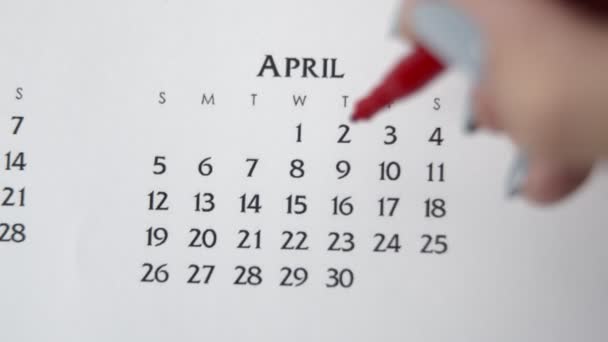 赤いマーカーでカレンダー日付の女性の手の円の日。ビジネスの基本壁カレンダープランナーと主催者。エイプリル9日 — ストック動画