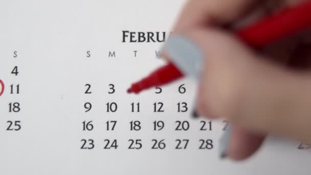 Жіночий день кола в календарі з червоним маркером. Основи бізнесу Настінний календар Планувальник і Організатор. 10-й ФЕБРУАРІЯ — стокове відео