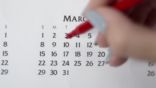 Kvinnlig hand cirkel dag i kalenderdatum med en röd markör. Business Basics Wall Calendar Planerare och arrangör. 10 mars — Stockvideo