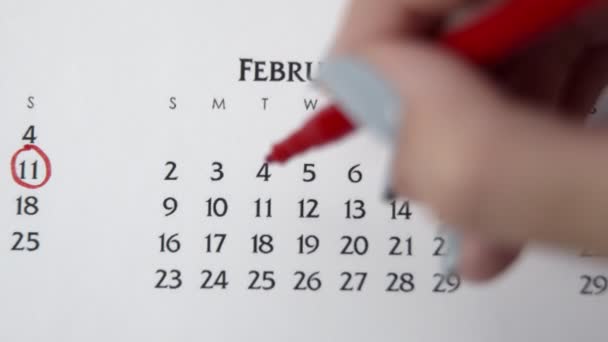 Giorno di cerchio di mano femminile in data di calendario con un marcatore rosso. Business Nozioni di base Wall Calendar Planner e organizzatore. 11 FEBBRAIO — Video Stock