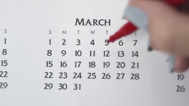 Día de círculo de la mano femenina en la fecha del calendario con un marcador rojo. Conceptos básicos de negocio Wall Calendar Planner and Organizer. 12 de marzo — Vídeos de Stock