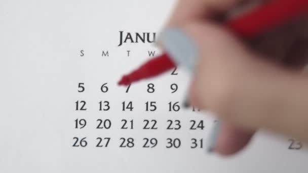 Día de círculo de la mano femenina en la fecha del calendario con un marcador rojo. Conceptos básicos de negocio Wall Calendar Planner and Organizer. ENERO 13 — Vídeos de Stock