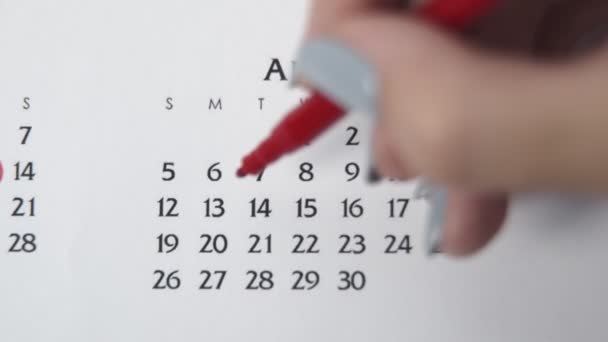 Dia círculo mão feminino em data de calendário com um marcador vermelho. Noções básicas de negócios Wall Calendar Planner and Organizer. 13 de Abril — Vídeo de Stock