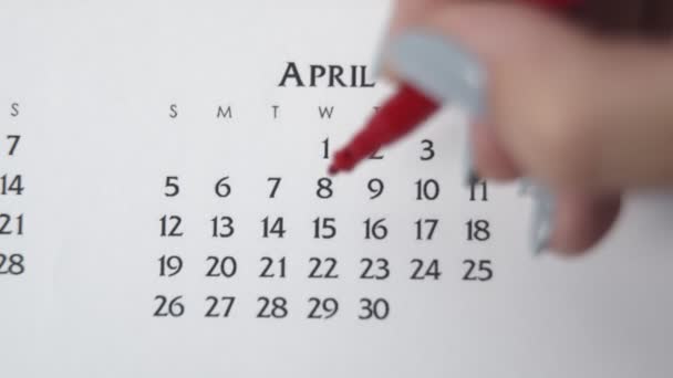 赤いマーカーでカレンダー日付の女性の手の円の日。ビジネスの基本壁カレンダープランナーと主催者。エイプリル15日 — ストック動画